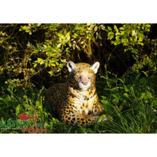 Natur Foam LEOPARD - RESTING